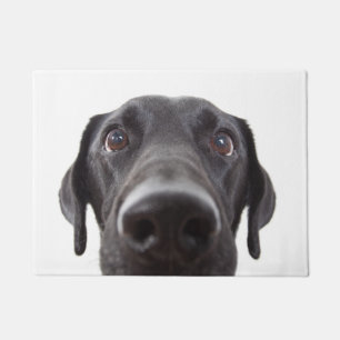 Felpudo Retrato de cierre del labrador negro