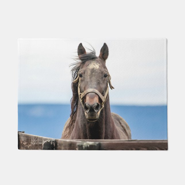 Felpudo Retrato de un caballo (Anverso)