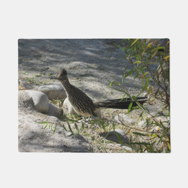Felpudo Roadrunner (Anverso)