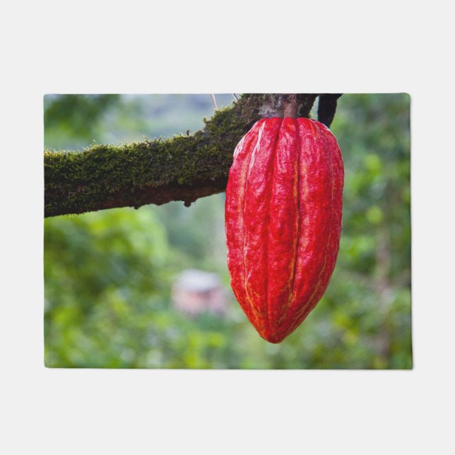 Felpudo rojo de la vaina de cacao (Anverso)