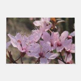 Felpudo rosa, flores primaverales, florística, flores, pat