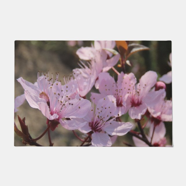 Felpudo rosa, flores primaverales, florística, flores, pat (Anverso)