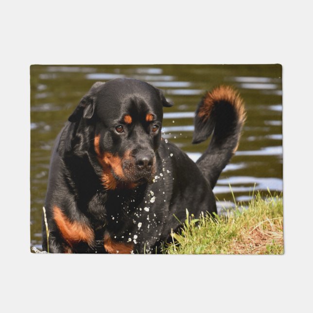 Felpudo Rothweiler Dog (Anverso)