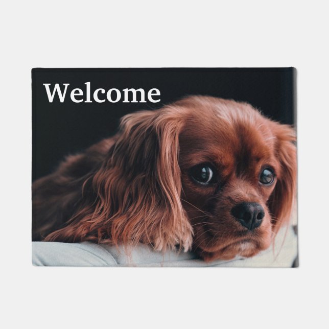 Felpudo Ruby Cavalier King Charles Spaniel Perro Cachorro (Anverso)