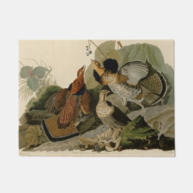 Felpudo Ruffed Grouse Audubon Game Bird (Anverso)