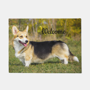 Felpudo Sable Cardigan Welsh Corgi Dog