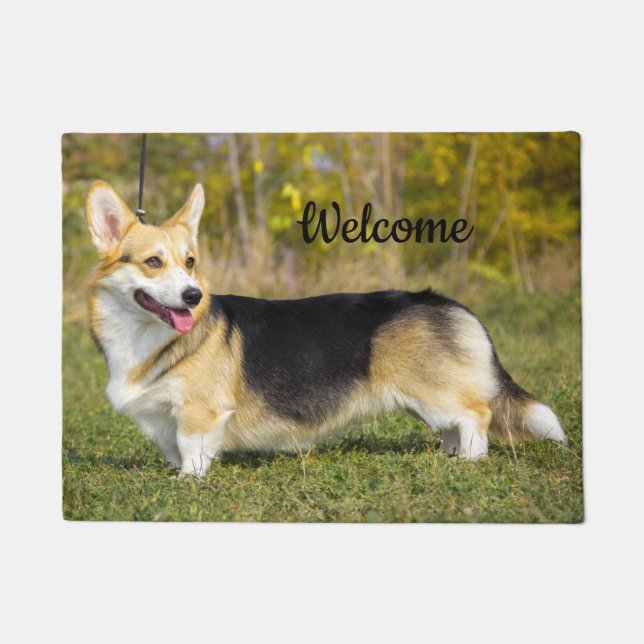 Felpudo Sable Cardigan Welsh Corgi Dog (Anverso)