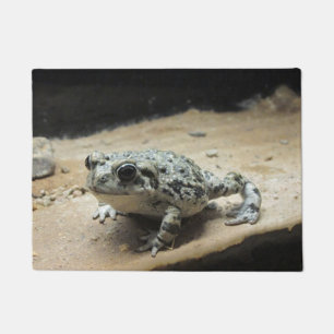 Felpudo Sapo