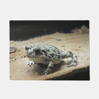 Felpudo Sapo