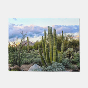 Felpudo Scottsdale Succulent Sunset