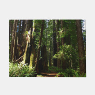 Felpudo Secuoyas y helechos en el Parque Nacional Redwood