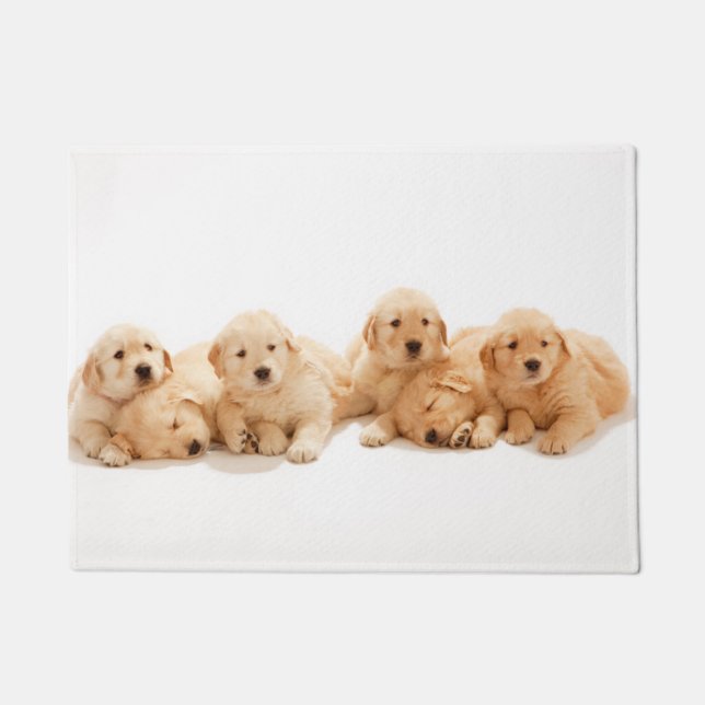 Felpudo Seis cachorros de Golden Retriever (Anverso)