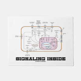 Felpudo Señalización dentro de caminos de la transducción