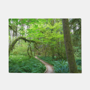 Felpudo Sendero Ancient Groves en el Parque Nacional Olymp