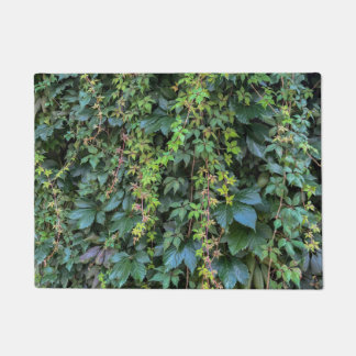 Felpudo Serene Green Ivy Wall Colgando Vinas Plantas