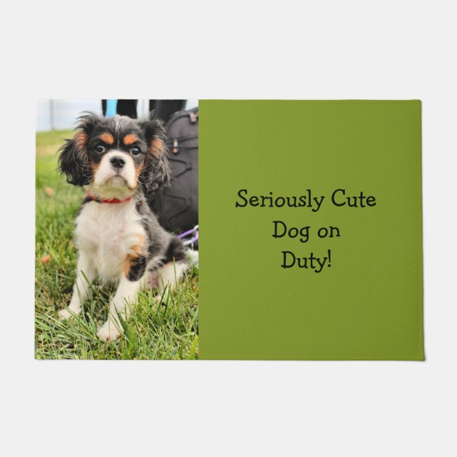 Felpudo Serio (Anverso)