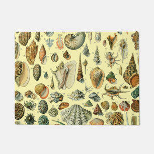 Felpudo Shell de conchas marinas Mollusk Clam Elegante Art