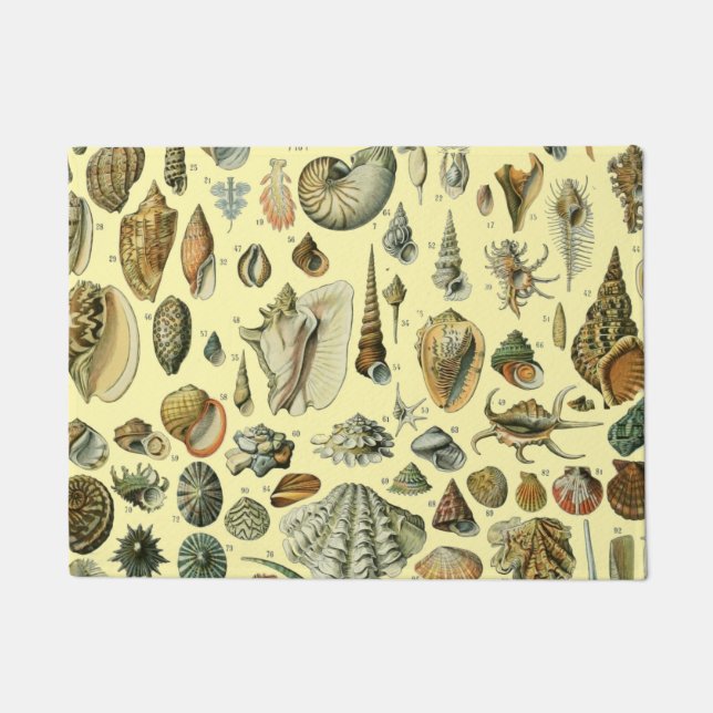 Felpudo Shell de conchas marinas Mollusk Clam Elegante Art (Anverso)