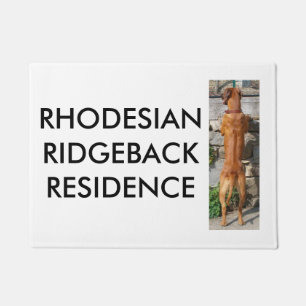 Felpudo situación rhodesian del ridgeback