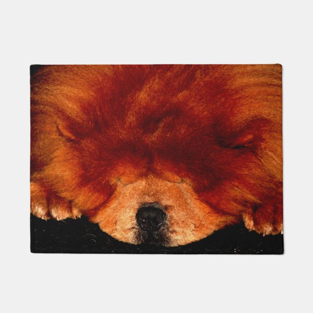 Felpudo Sleeping Chow Chow dmcna (Anverso)