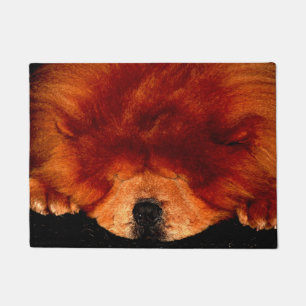 Felpudo Sleeping Chow Dmm
