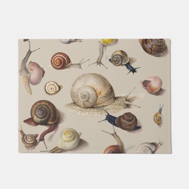 Felpudo Snail Slug Garden Mascota Gastropod Snails Botanic (Anverso)