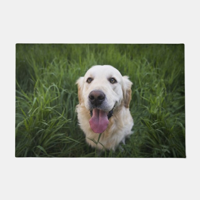 Felpudo Sonriente Golden Retriever   (Anverso)