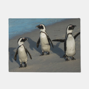 Felpudo Spheniscus africano Demersus de los pingüinos el