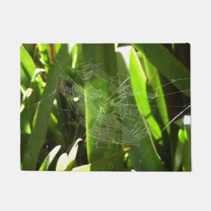 Felpudo Spiderweb en la naturaleza de las hojas tropicales