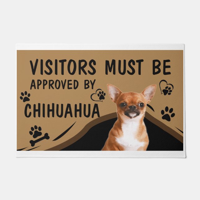 Felpudo Springer Chihuahua debe aprobar al visitante (Anverso)