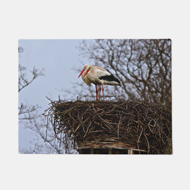 Felpudo Stork in Nest (Anverso)