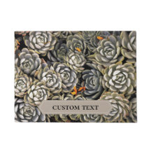 Suculentas plantas en tonos grises y marrones