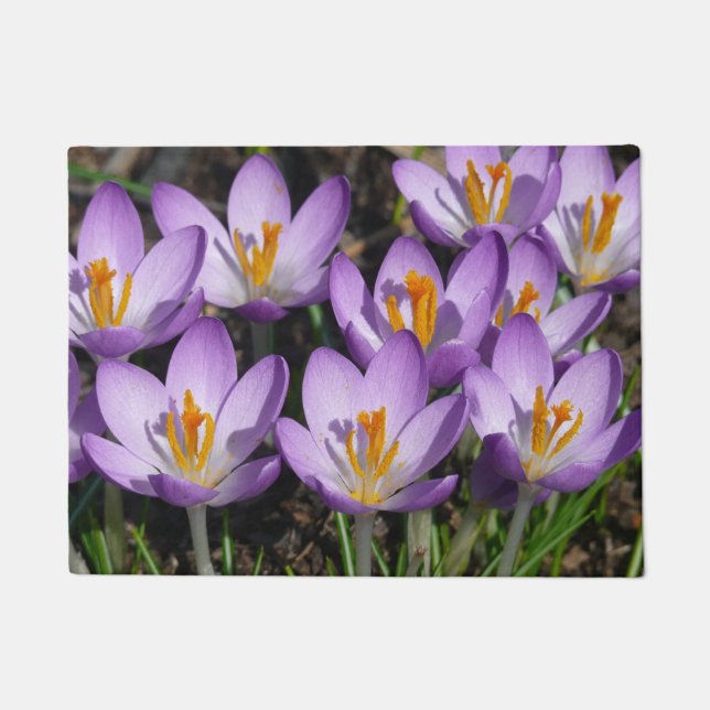 Felpudo Sunny Purple Crocuses (Anverso)