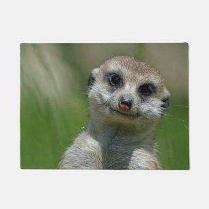 Felpudo Suricata 013