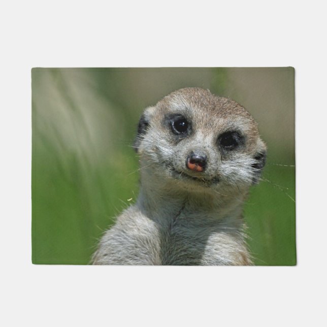 Felpudo Suricata 013 (Anverso)