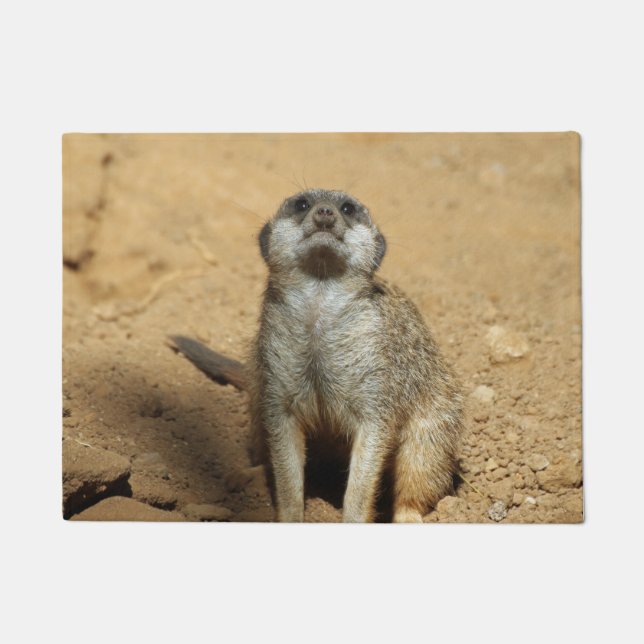 Felpudo Suricata 031 (Anverso)