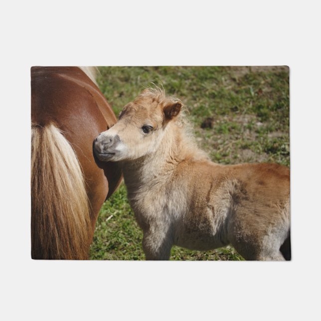 Felpudo Sweet Haflinger Foal (Anverso)