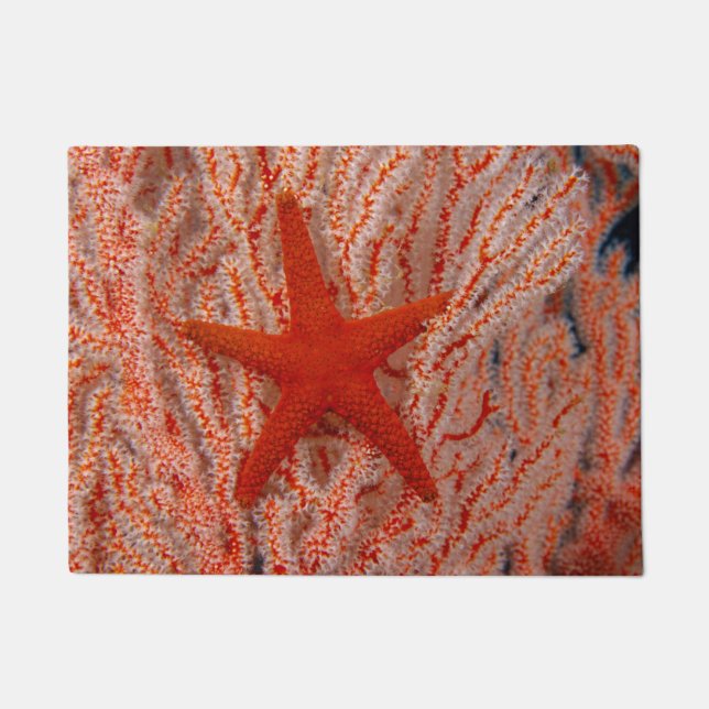 Felpudo Tailandia, Estrella de Mar (Anverso)