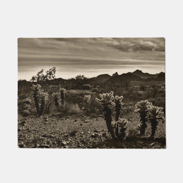 Felpudo Teddy Bear Cholla Cactus (Anverso)