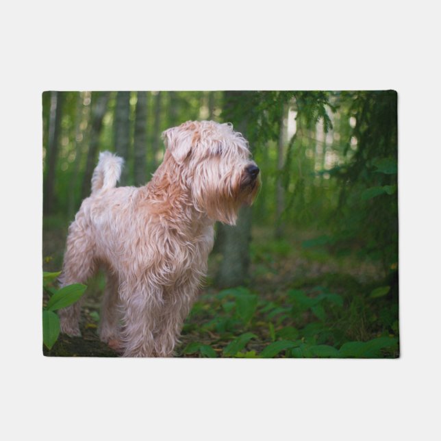 Felpudo Terrier Wheaten. (Anverso)