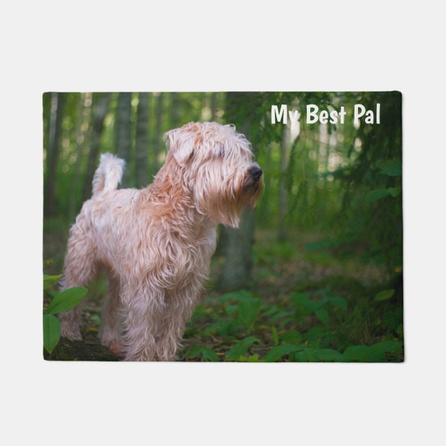 Felpudo Terrier Wheaten. (Anverso)