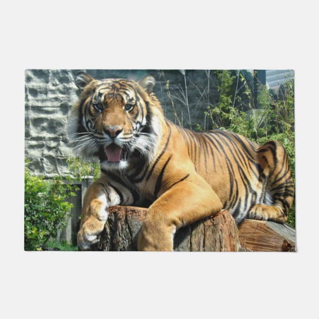 Felpudo Tigre (Anverso)