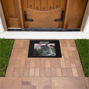 Felpudo Tigre Stripe Kitty Doormat
