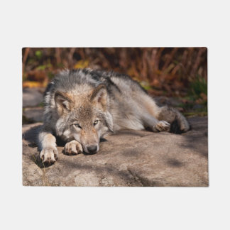 Felpudo Timber Wolf