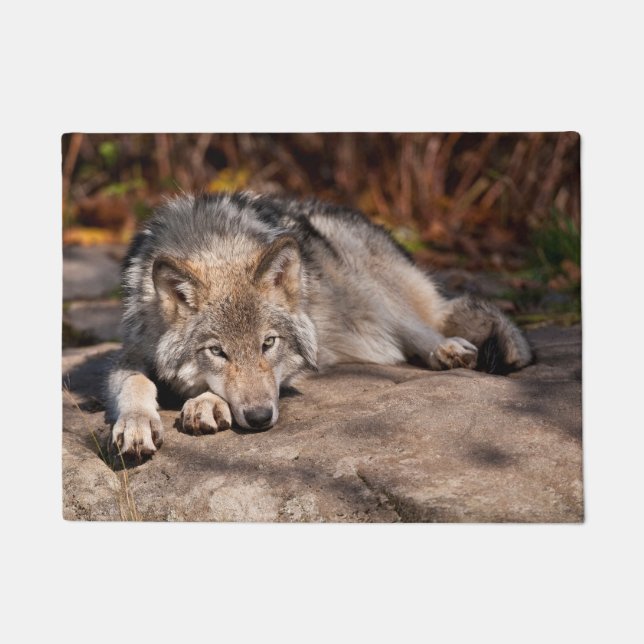 Felpudo Timber Wolf (Anverso)