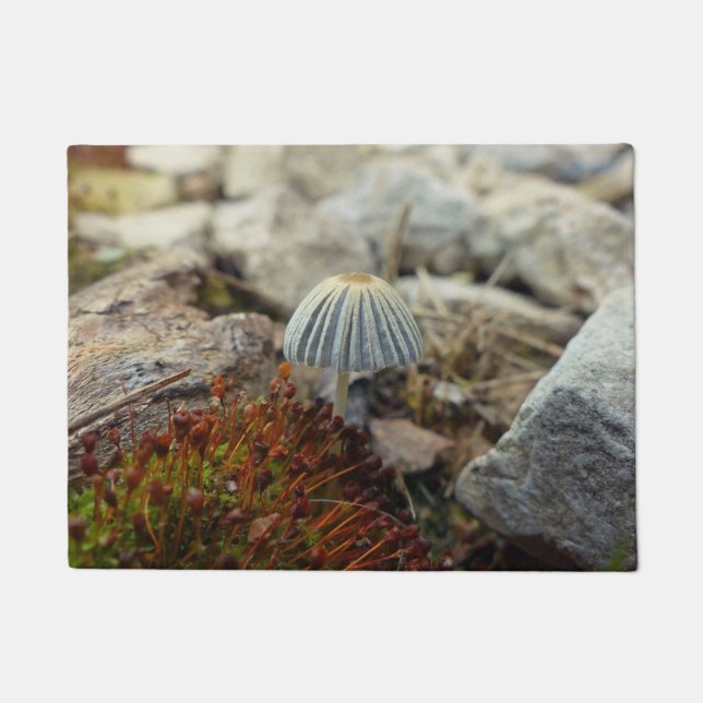 Felpudo Toadstoide pequeño (Anverso)