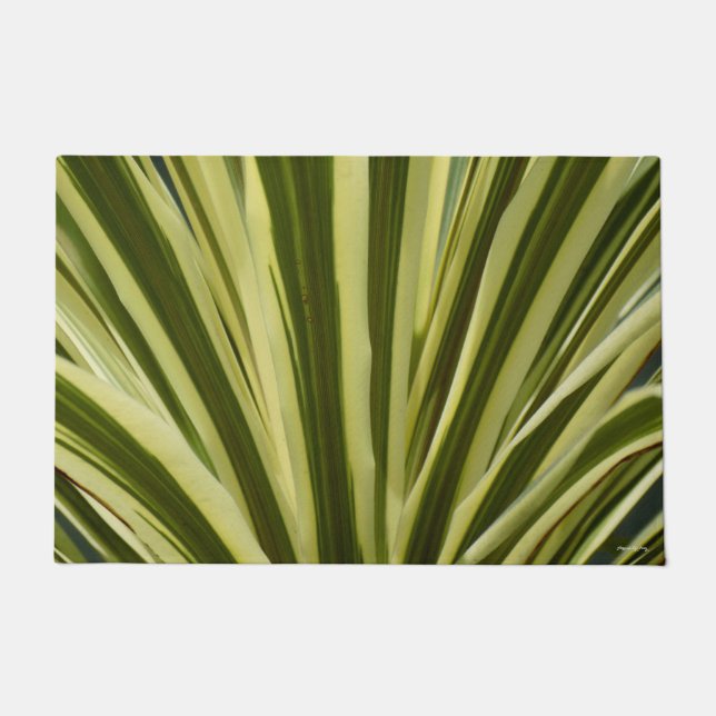 Felpudo Tonos De La Puerta Verde (Anverso)