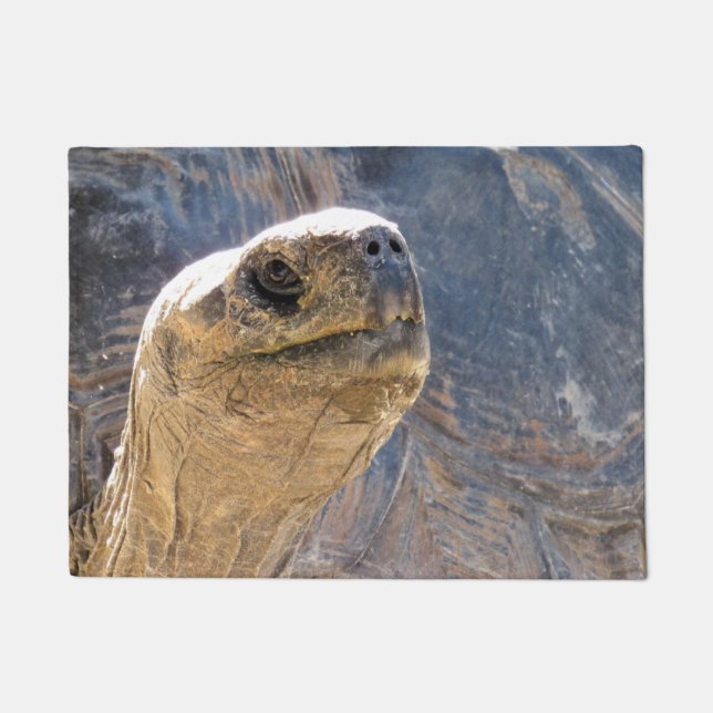 Felpudo Tortoise de bienvenida - Doormat (Anverso)