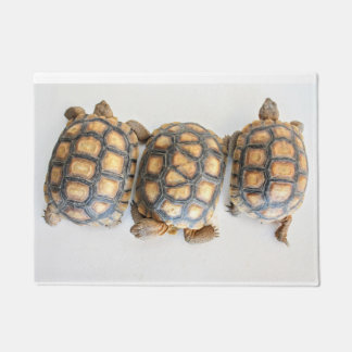 Felpudo Tortoise Trio Doormat