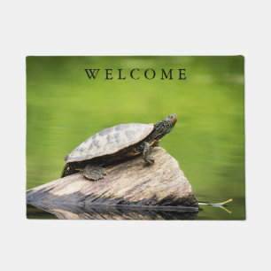 Felpudo Tortuga pintada en un registro